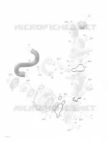 OLIEPOMP