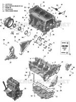 CARTERDELEN