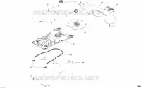 Romp achterste deel