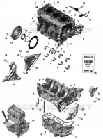 CARTERDELEN